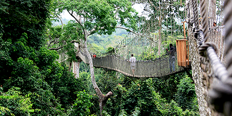 Canopy walkway, Kakum National Park