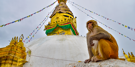 Swayambhunath